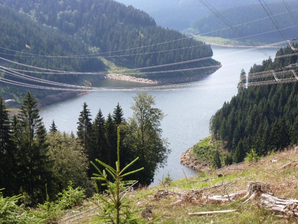 沃尔德弗雷德弗莱尔酒店 Oberweißbach 外观 照片