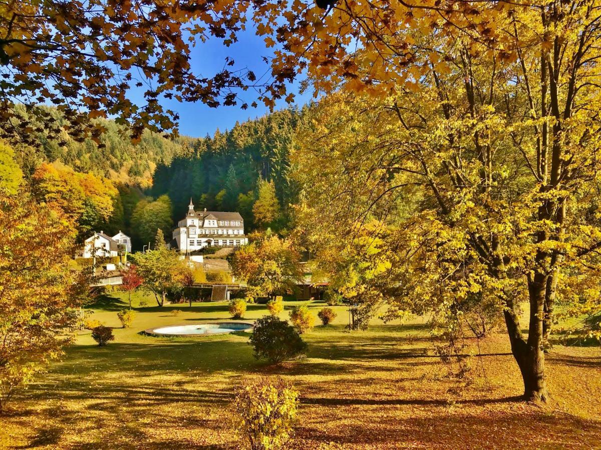 沃尔德弗雷德弗莱尔酒店 Oberweißbach 外观 照片